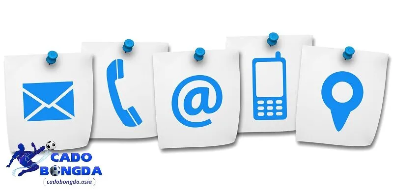 Các cách liên hệ với chúng tôi