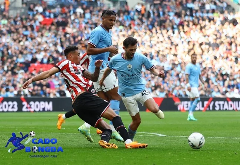 Các loại kèo được nhận định