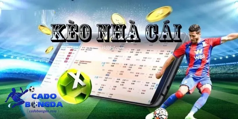 những yếu tố có thể ảnh hưởng đến kèo nhà cái Các yếu tố ảnh hưởng đến kèo nhà cái