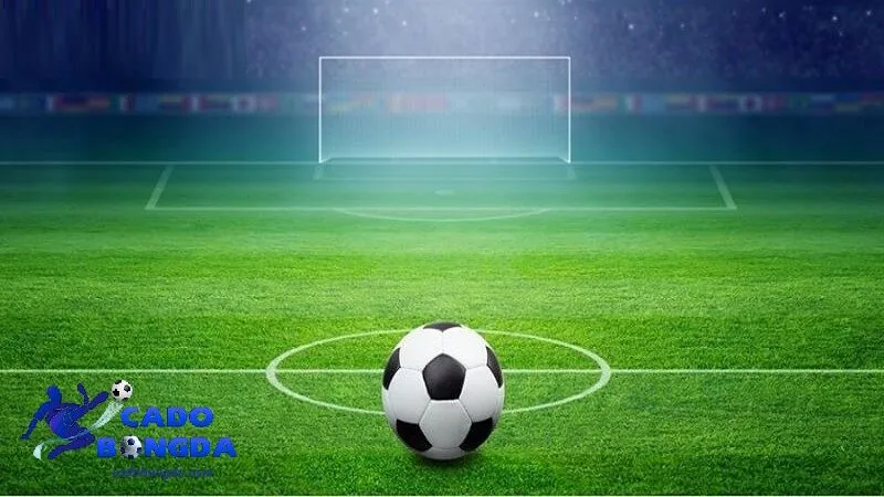 Các bước khi tham gì tỷ lệ kèo Cách đọc kèo khi tham gia chơi