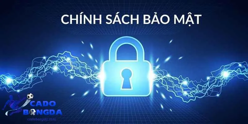 Cadobongda lưu trữ thông tin như thế nào