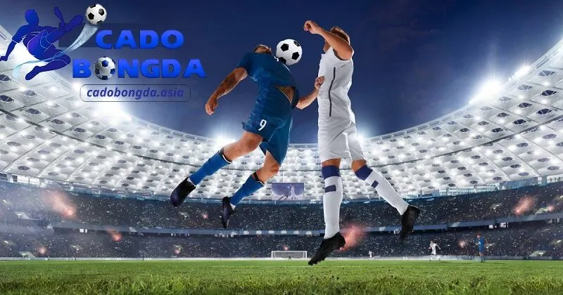 Nhận định kèo nhà cái miễn phí cho người mới