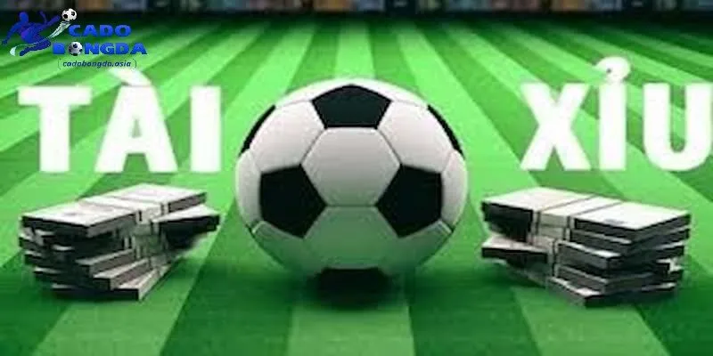 Yếu tố quan trọng quyết định tính chính xác Những yếu tố quyết định tính chính xác