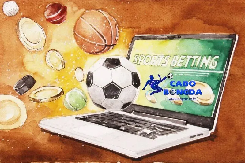 Quy trình nhận định kèo cơ bản cho người mới