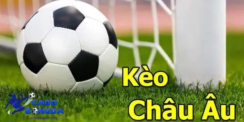 kèo Châu Âu là gì? Tổng quan về kèo Châu Âu cho người chơi