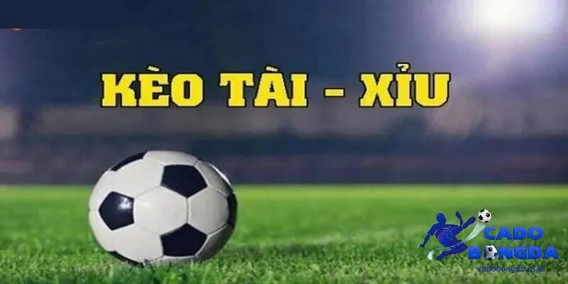 kèo Tài - XỈu là gì? Tổng quan về kèo tài - xỉu cho người chơi