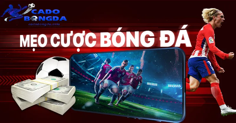 Tránh các lỗi cơ bản trước khi đặt kèo